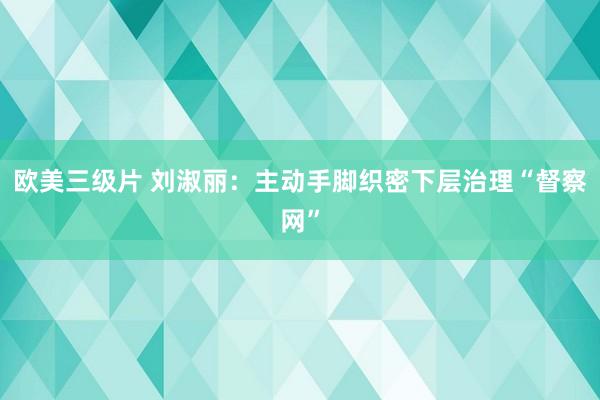 欧美三级片 刘淑丽：主动手脚织密下层治理“督察网”