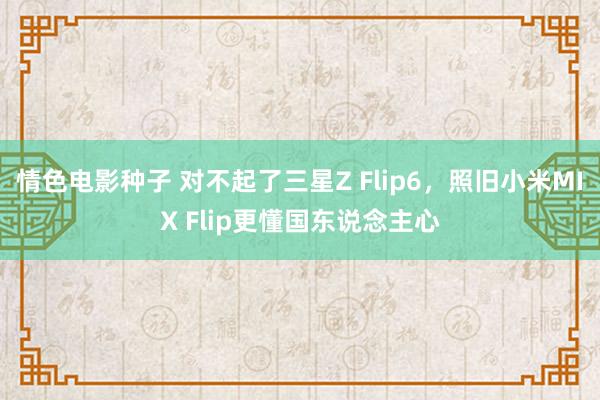 情色电影种子 对不起了三星Z Flip6，照旧小米MIX Flip更懂国东说念主心