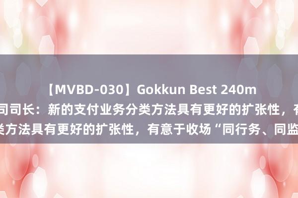 【MVBD-030】Gokkun Best 240min. 総勢12名 央行支付结算司司长：新的支付业务分类方法具有更好的扩张性，有意于收场“同行务、同监管”