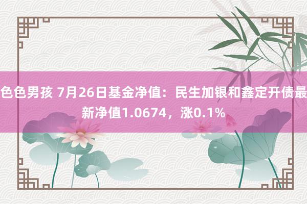 色色男孩 7月26日基金净值：民生加银和鑫定开债最新净值1.0674，涨0.1%