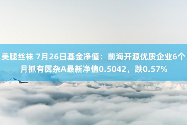 美腿丝袜 7月26日基金净值：前海开源优质企业6个月抓有羼杂A最新净值0.5042，跌0.57%