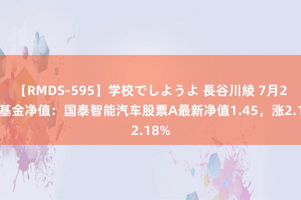 【RMDS-595】学校でしようよ 長谷川綾 7月26日基金净值：国泰智能汽车股票A最新净值1.45，涨2.18%