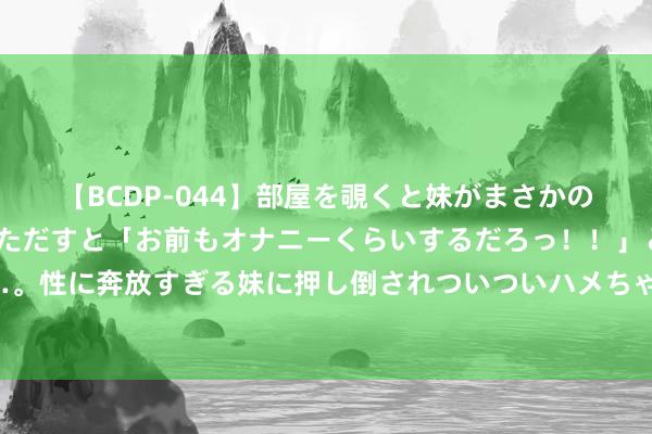 【BCDP-044】部屋を覗くと妹がまさかのアナルオナニー。問いただすと「お前もオナニーくらいするだろっ！！」と逆に襲われたボク…。性に奔放すぎる妹に押し倒されついついハメちゃった近親性交12編 强降雨行将来袭，京津冀等地将有大到暴雨