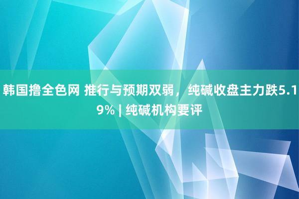 韩国撸全色网 推行与预期双弱，纯碱收盘主力跌5.19% | 纯碱机构要评