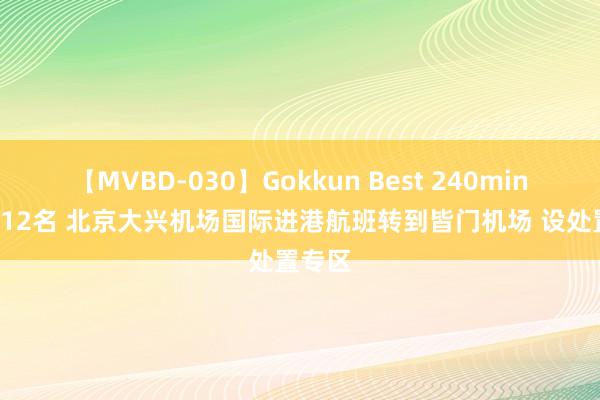 【MVBD-030】Gokkun Best 240min. 総勢12名 北京大兴机场国际进港航班转到皆门机场 设处置专区