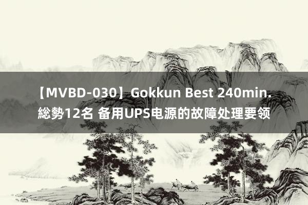 【MVBD-030】Gokkun Best 240min. 総勢12名 备用UPS电源的故障处理要领