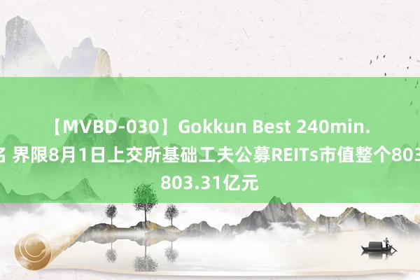 【MVBD-030】Gokkun Best 240min. 総勢12名 界限8月1日上交所基础工夫公募REITs市值整个803.31亿元