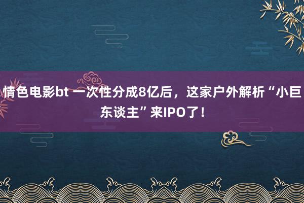 情色电影bt 一次性分成8亿后，这家户外解析“小巨东谈主”来IPO了！