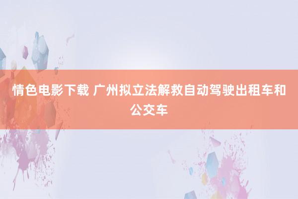 情色电影下载 广州拟立法解救自动驾驶出租车和公交车