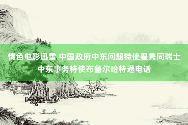 情色电影迅雷 中国政府中东问题特使翟隽同瑞士中东事务特使布鲁尔哈特通电话