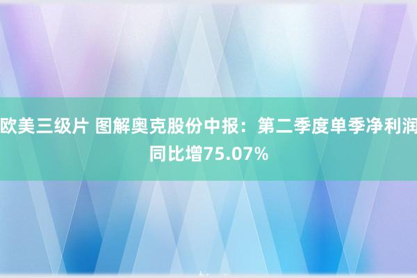 欧美三级片 图解奥克股份中报：第二季度单季净利润同比增75.07%