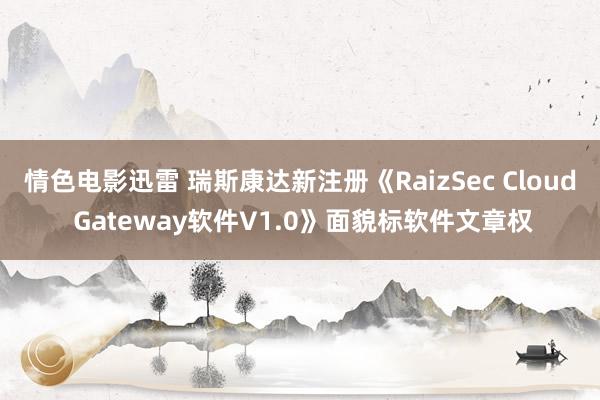 情色电影迅雷 瑞斯康达新注册《RaizSec Cloud Gateway软件V1.0》面貌标软件文章权