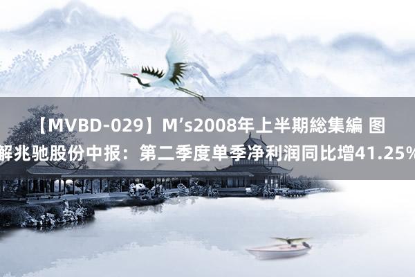 【MVBD-029】M’s2008年上半期総集編 图解兆驰股份中报：第二季度单季净利润同比增41.25%