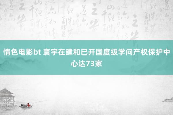 情色电影bt 寰宇在建和已开国度级学问产权保护中心达73家