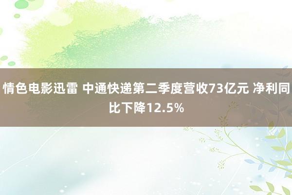 情色电影迅雷 中通快递第二季度营收73亿元 净利同比下降12.5%