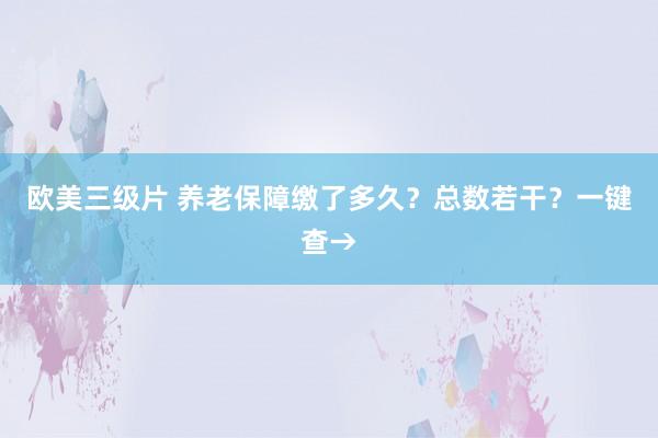 欧美三级片 养老保障缴了多久？总数若干？一键查→