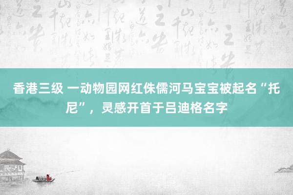 香港三级 一动物园网红侏儒河马宝宝被起名“托尼”，灵感开首于吕迪格名字