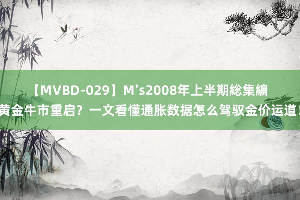 【MVBD-029】M’s2008年上半期総集編 黄金牛市重启？一文看懂通胀数据怎么驾驭金价运道！