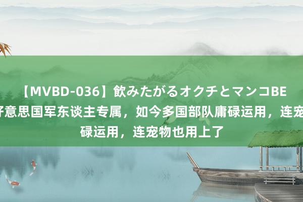 【MVBD-036】飲みたがるオクチとマンコBEST 它曾是好意思国军东谈主专属，如今多国部队庸碌运用，连宠物也用上了