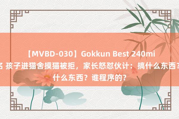 【MVBD-030】Gokkun Best 240min. 総勢12名 孩子进猫舍摸猫被拒，家长怒怼伙计：搞什么东西？谁程序的？