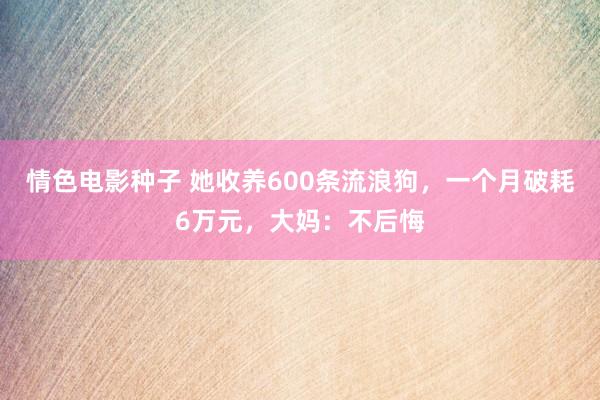 情色电影种子 她收养600条流浪狗，一个月破耗6万元，大妈：不后悔