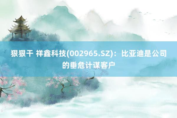 狠狠干 祥鑫科技(002965.SZ)：比亚迪是公司的垂危计谋客户