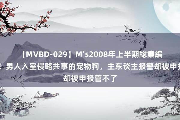 【MVBD-029】M’s2008年上半期総集編 太仙葩！男人入室侵略共事的宠物狗，主东谈主报警却被申报管不了