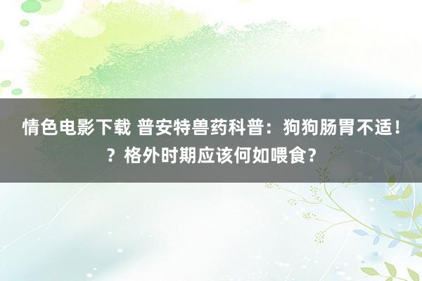 情色电影下载 普安特兽药科普：狗狗肠胃不适！？格外时期应该何如喂食？