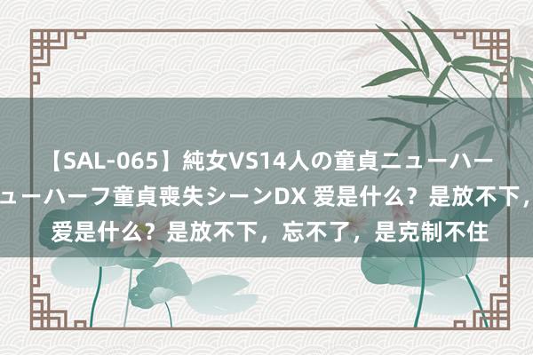 【SAL-065】純女VS14人の童貞ニューハーフ 二度と見れないニューハーフ童貞喪失シーンDX 爱是什么？是放不下，忘不了，是克制不住