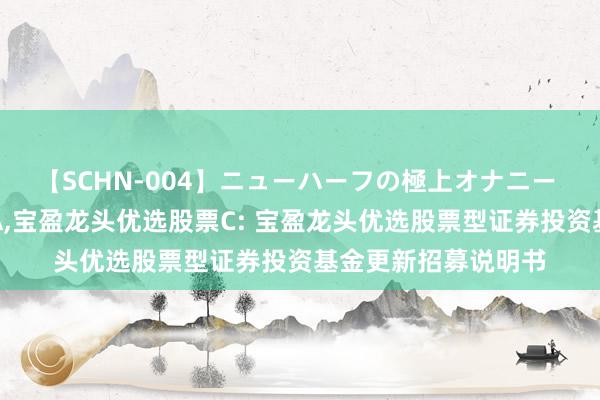 【SCHN-004】ニューハーフの極上オナニー 宝盈龙头优选股票A，宝盈龙头优选股票C: 宝盈龙头优选股票型证券投资基金更新招募说明书