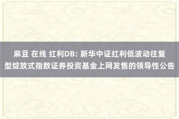 麻豆 在线 红利DB: 新华中证红利低波动往复型绽放式指数证券投资基金上网发售的领导性公告