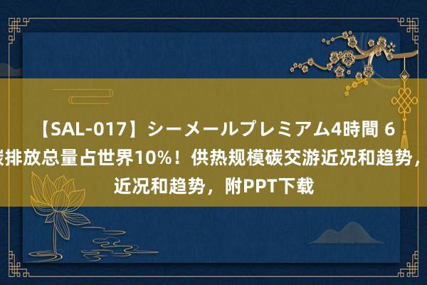 【SAL-017】シーメールプレミアム4時間 6 供热行业碳排放总量占世界10%！供热规模碳交游近况和趋势，附PPT下载