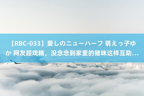 【RBC-033】愛しのニューハーフ 萌えっ子ゆか 网友超戏精，没念念到家里的猪咪这样互助…