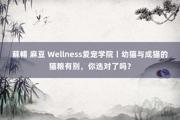 蘇暢 麻豆 Wellness爱宠学院丨幼猫与成猫的猫粮有别，你选对了吗？