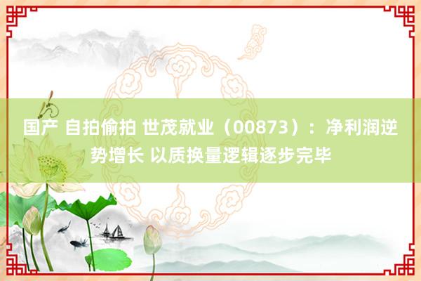 国产 自拍偷拍 世茂就业（00873）：净利润逆势增长 以质换量逻辑逐步完毕