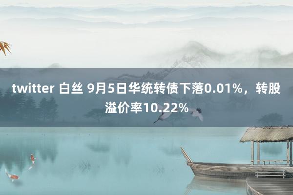 twitter 白丝 9月5日华统转债下落0.01%，转股溢价率10.22%